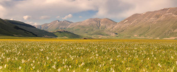 Europe,Italy,Umbria,Perugia district,Sibillini National park.
Spring flowering