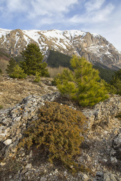 Europe,Italy,Umbria,Perugia district,Sibillini National park.
