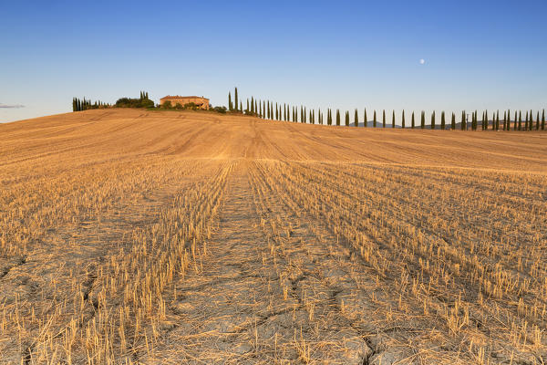 Europe,Italy,Siena district,Orcia Valley, San Quirico d'Orcia. 