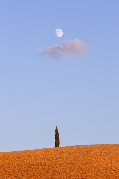 Europe,Italy,Siena district,Orcia Valley, San Quirico d'Orcia. 