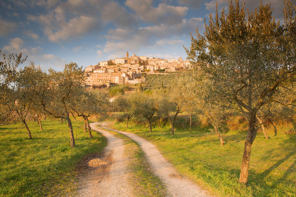 Europe,Italy,Umbria,Perugia district.
Trevi at sunset.