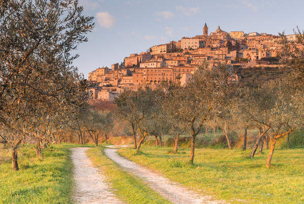 Europe,Italy,Umbria,Perugia district.
Trevi at sunset.