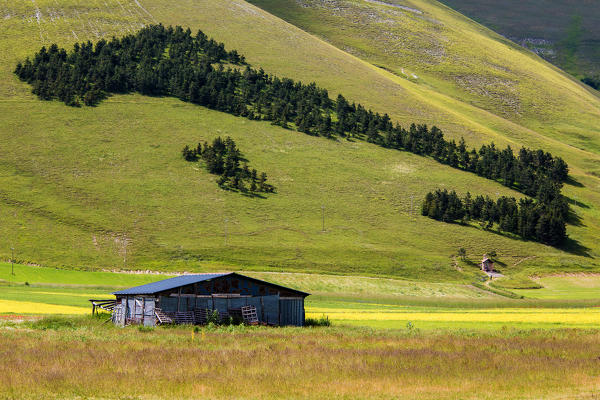 Europe, Italy, Umbria, Castelluccio di Norcia 
Sibillini national park