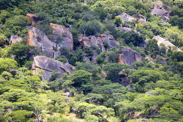 Africa,Malawi,Monkey bay district, Lake Malawi National park.