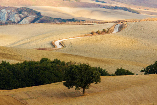Europe, Italy, Tuscany, Val d'Orcia
Tuscan hills, Orcia Valley. 