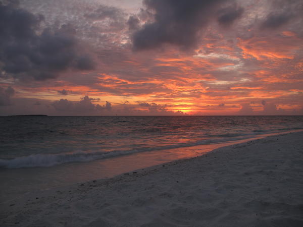 Maldive beach and sea at sunset.