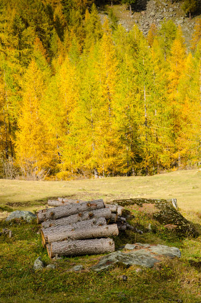 Vallée de la Leigne, Champorcher valley, Aosta Valley, Italy, Italian alps