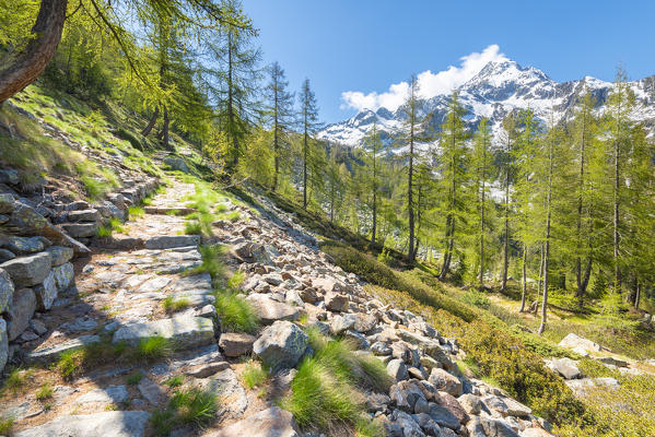 Mule track in Mont Mars Natural reserve, Fontainemore, Lys valley, Aosta Valley, Italian alps, Italy
