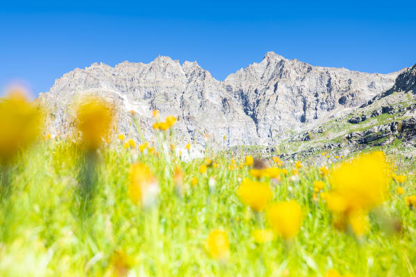 Denti del Broglio and Becca di Monciair, Vallone del Roc, Valle dell Orco, Gran Paradiso National Park, Province of Turin, italian alps, Italy