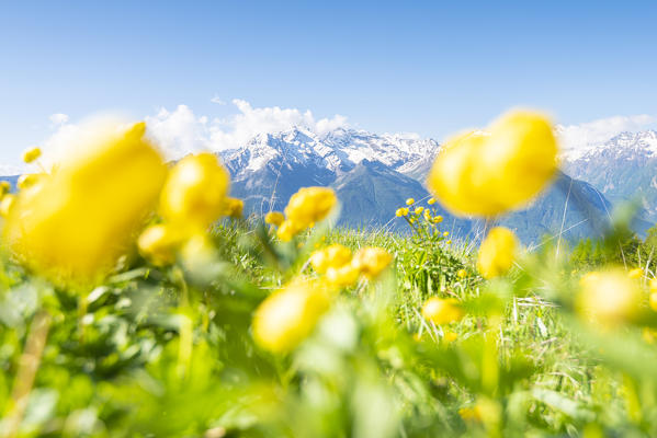 Meadows and peaks in the central valley, Verrayes, Aosta Valley, Italian alps, Italy