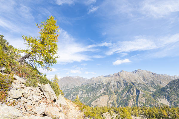 Lys valley, Aosta valley, Italian alps, Italy