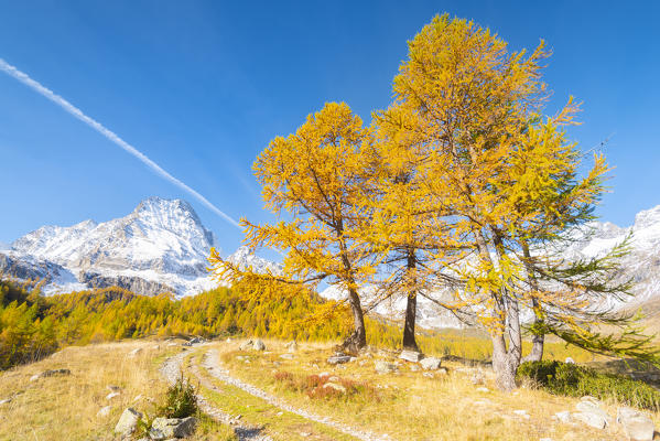 Monte Leone, Alpe Veglia, Veglia Devero Natural Park, Ossola,  province of Verbano Cusio Ossola, Piedmont, Italian alps, Italy