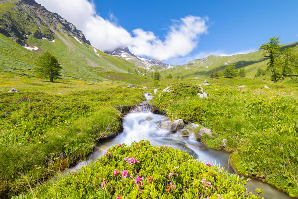 Vallon d Ars, Gran San Bernardo valley, Aosta Valley, Italian alps, Italy