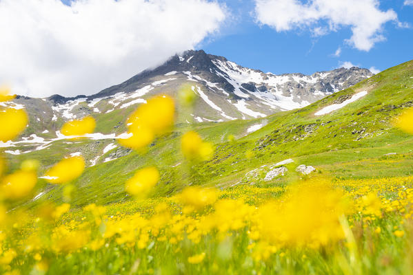 Mont Fallere, Vallon d Ars, Gran San Bernardo valley, Aosta Valley, Italian alps, Italy