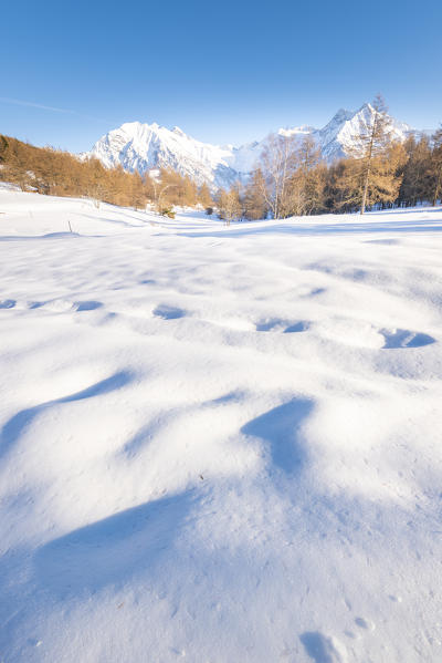 Col Tzecore, Testa Comagna, Emarese, Aosta Valley, Italian alps, Italy