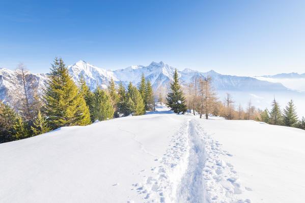 Testa Comagna, Emarese, Aosta Valley, Italian alps, Italy