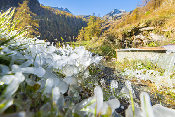 Ice near a fountain, Vallon de la Mandaz, Valle di Champorcher, Aosta Valley, Italian alps, Italy