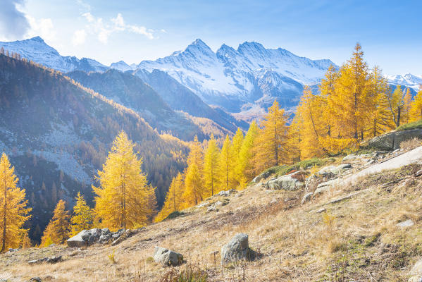 Levanne in autumn, Ceresole Reale, Valle dell Orco, Gran Paradiso National Park, Italian alps, Province of Turin, Piedmont