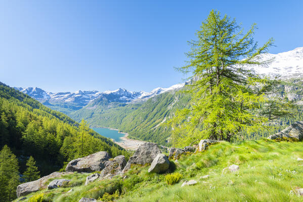 Valle dell Orco, Gran Paradiso National Park, Province of Turin, italian alps, Piedmont Italy