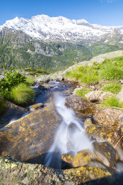 Little river, Valle dell Orco, Gran Paradiso National Park, Province of Turin, italian alps, Piedmont Italy
