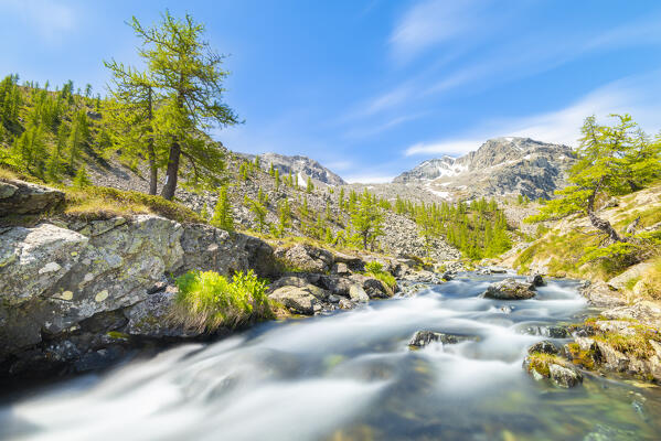 Torrent Chalamy, Vallon de Chalamy, Mont Avic Natural Park, Valle d Aosta, Italian alps, Italy