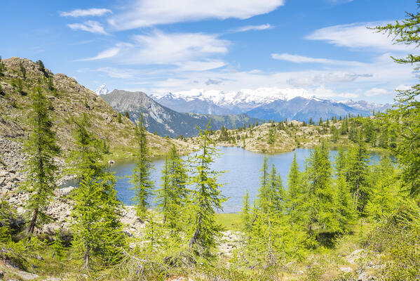 Lac Blanc and Monte Rosa massif, Vallon de Chalamy, Mont Avic Natural Park, Valle d Aosta, Italian alps, Italy