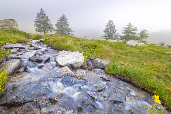 Stream in Valle dell Orco, Gran Paradiso National Park, Italian alps, Province of Turin, Piedmont, Italy