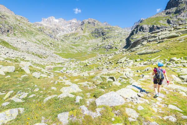 Hiker on muletrack, Vallone di Noaschetta, Valle dell Orco, Gran Paradiso National Park, Province of Turin, italian alps, Piedmont, Italy