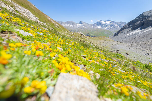 Valgrisenche, Vallee d Aoste, Italian alps, Italy