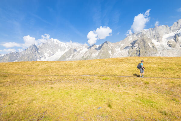 Mont Blanc massif seen from Mont de la Saxe, Val Sapin, Vallee d Aoste, Italian alps, Italy