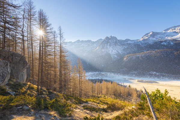 Morning sun in Valle dell Orco, Gran Paradiso National Park, Piedmont, province of Turin, Graian alps, Italy