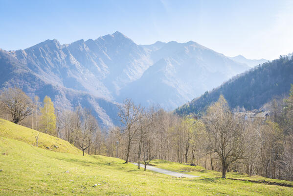 Valley of Guaria, Valle Soana, Gran Paradiso National Park, Piedmont, Italian alps, province of Turin, Italy