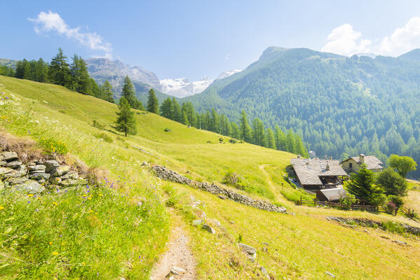 Pastures in high Val d Ayas, Valle d Aosta, Italian alps, Italy