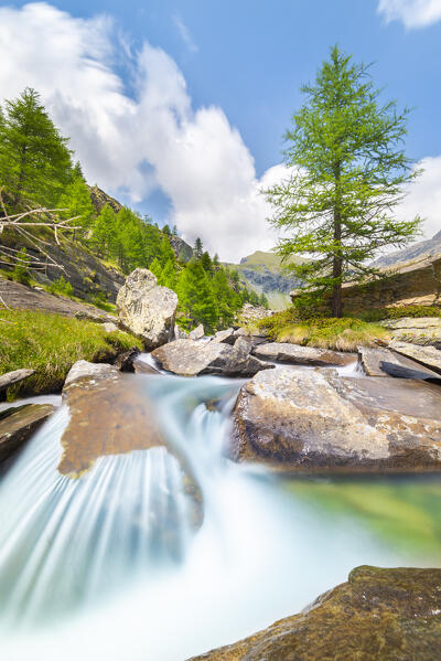 Torrent at Plan de Tzere, Val d Ayas, Valle d Aosta, Italian alps, Italy
