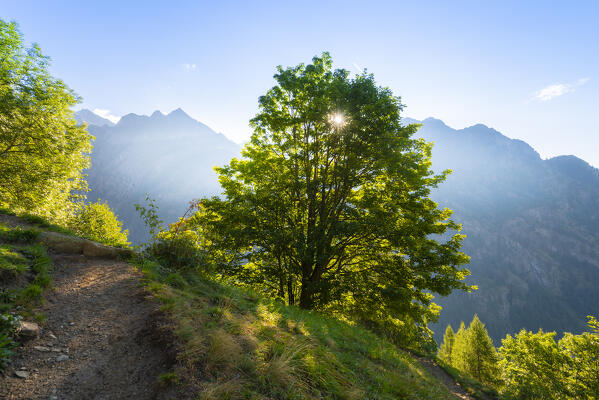 Gressoney Valley, Valle d Aosta, Italian alps, Italy