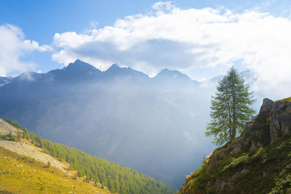 Atmosphere in Valfredda valley, Gressoney Valley, Valle d Aosta, Italian alps, Italy
