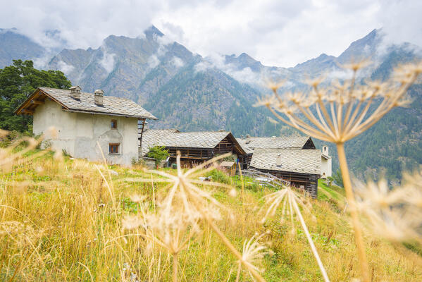 The village of Alpenzù, Gressoney Valley, Valle d Aosta, Italian alps, Italy