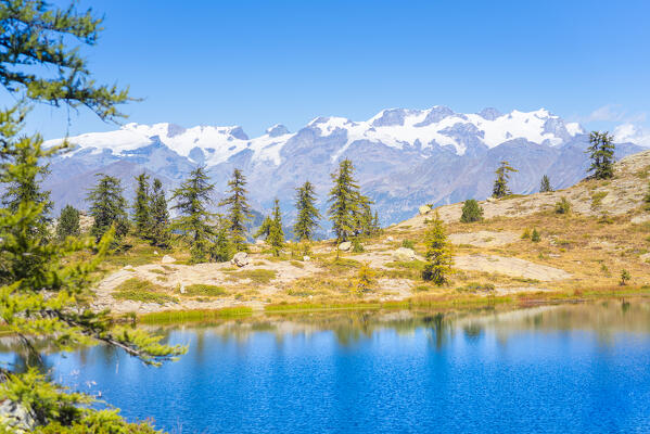 Monte Rosa massif seen from Lac Vallette, Chalamy valley, Mont Avic natural park, Champdepraz, Aosta Valley, Italian alps, Italy