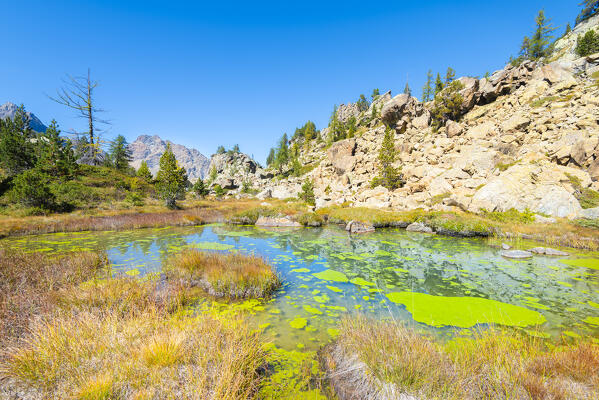 Pond in Chalamy valley, Mont Avic natural park, Champdepraz, Aosta Valley, Italian alps, Italy