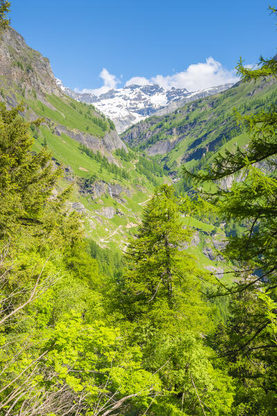 Val Cairasca, Divedro valley, Ossola, province of Verbano Cusio Ossola, Piedmont, Italy