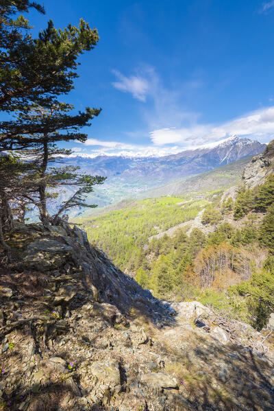Zerbion seen from Mont de Ros, Val d Ayas, Aosta Valley, Italian alps, Italy