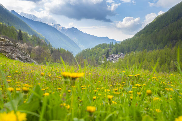 Vallone di Campiglia, with the village of Campiglia Soana, Campiglia valley, Valle Soana, Gran Paradiso National Park, Province of Turin, Piedmont