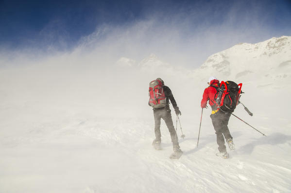 Alpinists advance in the cold wind (Soana valley, Gran Paradiso National Park, Piedmont)