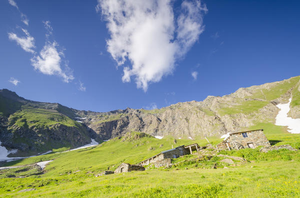 Pasture La Balma, Campiglia valley, Valle Soana, Gran Paradiso National Park, Piedmont, Italian alps, Italy