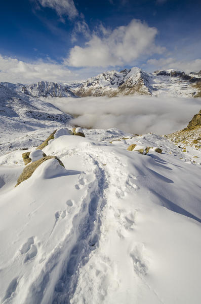 Footprints in a snowy landscape (Valsavarenche, Gran Paradiso National Park, Aosta Valley, Italian alps, Italy)
