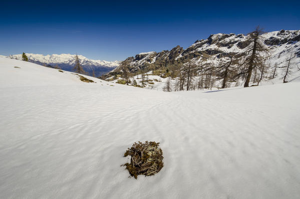 Val Chalamy, Mont Avic Natura Park, Aosta Valley, Italy