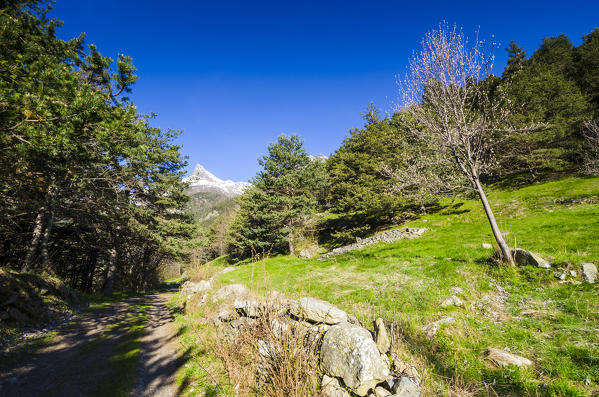 Val Chalamy, Mont Avic Natura Park, Aosta Valley, Italy