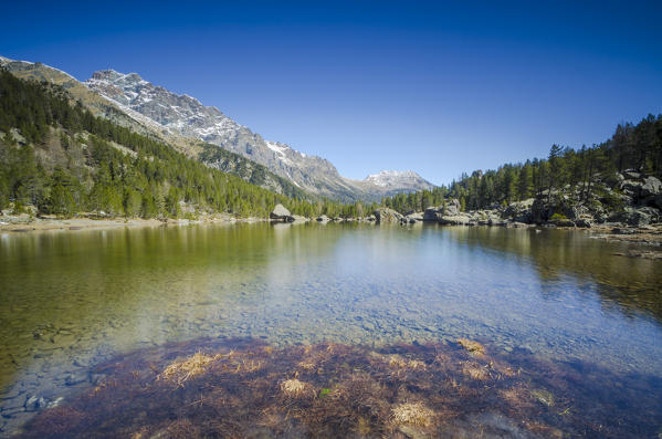 Servaz Lake (Val Chalamy, Mont Avic Natura Park, Aosta Valley, Italy)