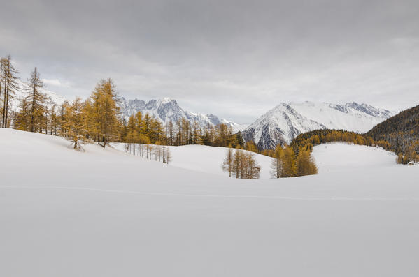 Late autumn (La Thuile Valley, Aosta Valley, Italy, Italian alps)