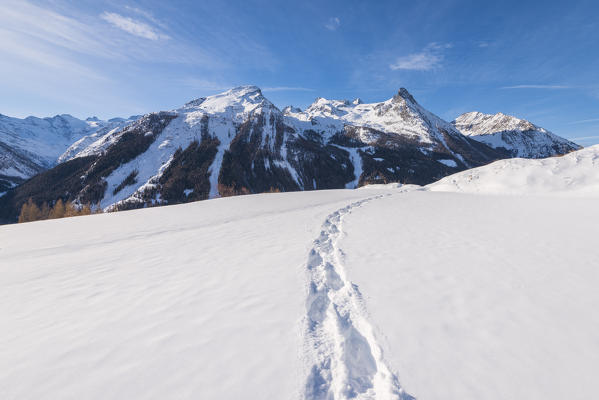Panorama from Pian di Teppe, Cogne Valley, Gran Paradiso National Park, Aosta Valley, Italian alps, Italy